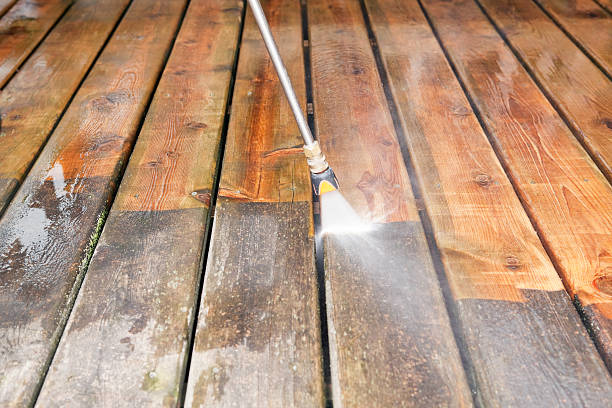 Best Roof Pressure Washing  in Millvale, PA