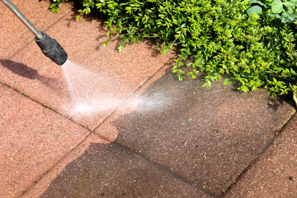 Best Roof Pressure Washing  in Millvale, PA